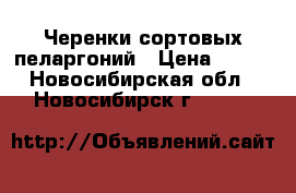 Черенки сортовых пеларгоний › Цена ­ 100 - Новосибирская обл., Новосибирск г.  »    